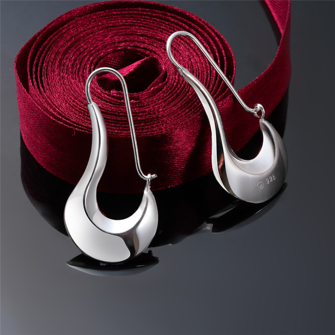 Modernist Earrings in Polished 925 Silver